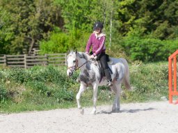 IMG_0584_web